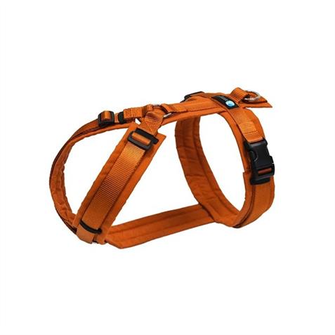 anny-x Geschirr Fun XS Ahorn