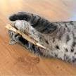 Aumüller Katzenspielzeug Rolle | Bild 2