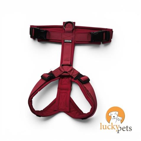Bumer Hundegeschirr Softshell Rubin Royale Gr. M