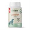 CellaVie Hund Zellkraft Pulver 75g