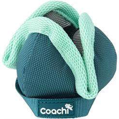 Coachi Puppy Chase & Treat