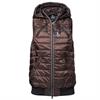 DG Padded Dog Walker Vest Bison / Liystig XS/2XS