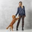 DogCoach Unisex Hoodie 2.0 Navy/Khali Gr. 4XL/3XL SV | Bild 3