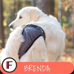 Finnero BRENDA Hygienehose Dunkel-Grau Gr. XL
