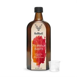 Heilkraft Floratur Biota 250ml