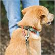 Hunter Halsband Havanna L 60 grün/orange | Bild 3