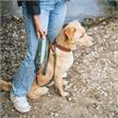 Hunter Halsband Havanna M-L 55 grün/orange | Bild 4