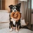 Hunter Hundespielzeug Belem Bretzel | Bild 2