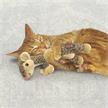 Kong CAT Luvs Mouse 5x22.9x6.4cm | Bild 2