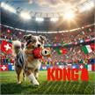 KONG Wild Knots Sport CH Bear Gr. M | Bild 5