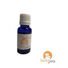 LP Bachblüten Tropfen Mut 20ml