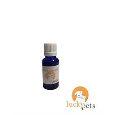 LP Bachblüten Tropfen S.O.S. Nofall 20ml