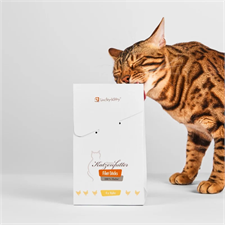 Lucky Kitty Cat SnackP. Stick 100% Filet 4x22g