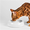 Lucky Kitty Premium-Katzennapf Keramik Gr. M