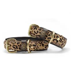 Maul Halsband Afrika Dunkelbraun Gr. 55