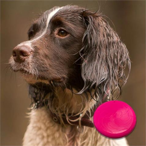 Moby Soft Frisbee Pink