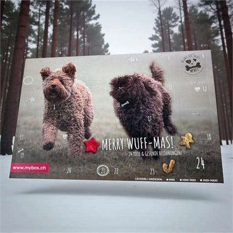 My Bos Adventskalender MINI