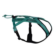 NS Rush Harness Teal Gr.