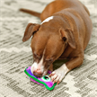Outwar Hound Invincibles Owl Purple XS | Bild 2