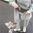 PALOPA Hundeleckerlibeutel Bum Bag Emma d`Olive | Bild 3