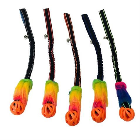 PawsMade Bungee Small/Medium Breath Right Rainbow