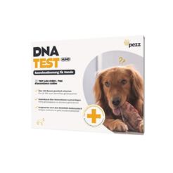 PEZZ DNA-Test Rassebestimmung für Hunde