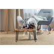 QUAPAS! Premium Teak Food Station M 41x22x15cm | Bild 3