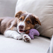 QUAPAS! Puppy toy Mond 7cm | Bild 2