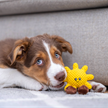 QUAPAS! Puppy toy Sonne 7cm | Bild 2