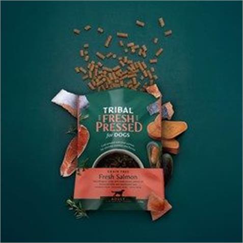 Tribal fresh pressed Adult Salmon 12kg