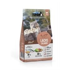 Tundra Katze Lachs